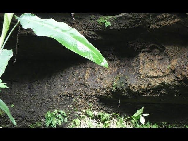 Mysterious Ancient Coastal Complex at Chirije