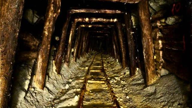 Unsuspecting House Hides A Life Changing Gold Mine, Just Below The Surface