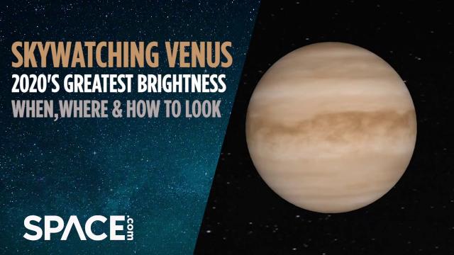 Skywatching Venus: 2020's greatest brightness in April