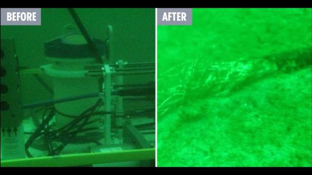 Large Underwater Observatory Mysteriously Disappears, Baffling Scientists