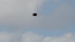 Best UFO Sighting Of July! Incredible Footage of A Flying Saucer or Drone? You Decide!