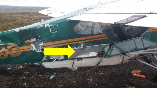 You Know You’re In Trouble When A Bear Shreds Your Plane, But How This Pilot Fixes It Wow   !