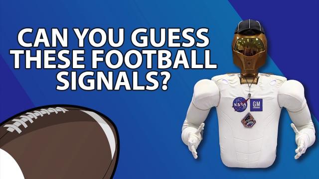 Referee Robonaut: Football Signals