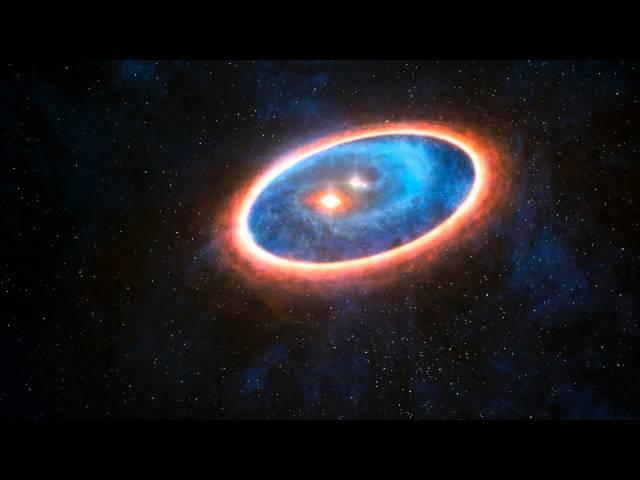 Cosmic Yin-Yang of Double Disc Binary Stars Recasts Exoplanet Search | Video