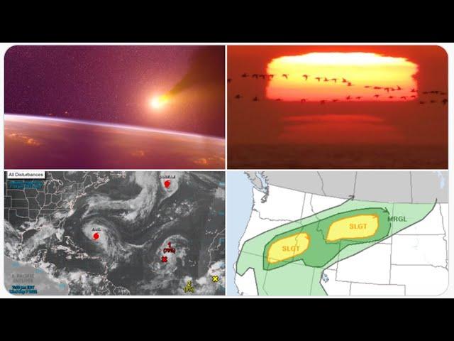 Hurricanes. Storms. Heatwaves. Wildfires. Floods. and a Sunspot with a Tail.