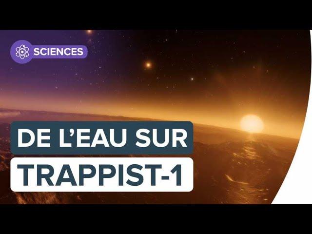 Les planètes de Trappist-1, des mondes riches en eau