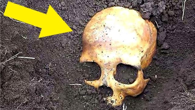 Man Finds Skull In Garden, Wife Tells Him It Belongs To Her Ex Husband