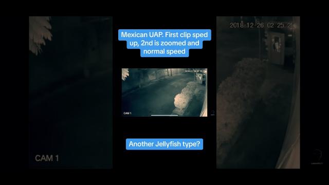 Jellyfish UFO Mexico in December 2018 ???? #ufo #shorts