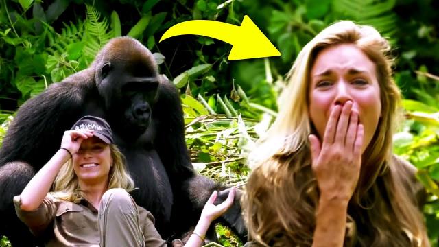 When This Woman Got Too Close to a Gorilla and The Unexpected Happened