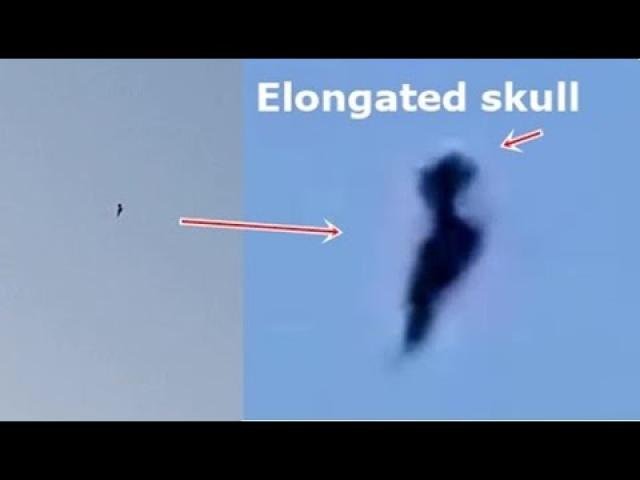 Flying humanoid with elongated skull and wings caught on video in Worthing West Sussex U K