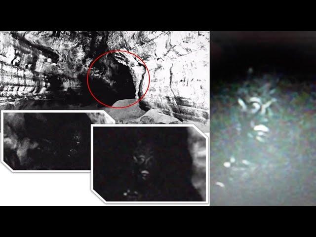 Strange looking creature caught on photo in Son Doong, the biggest cave in the world