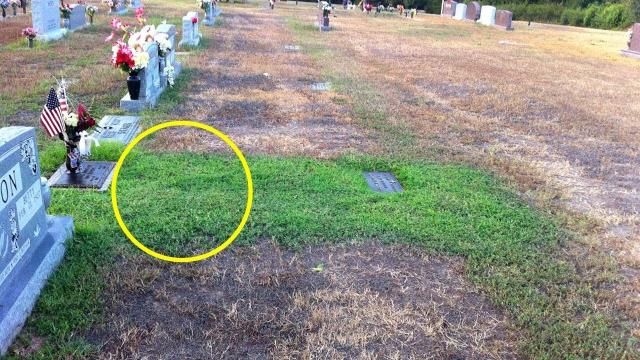 Mother Couldn’t Understand Why Her Son’s Grave Was So Green And Then Cried When She Found Out Why