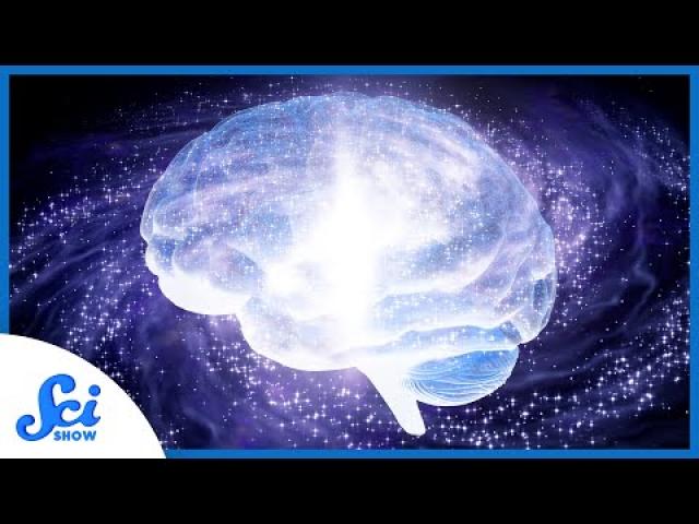 How Space Changes Your Brain