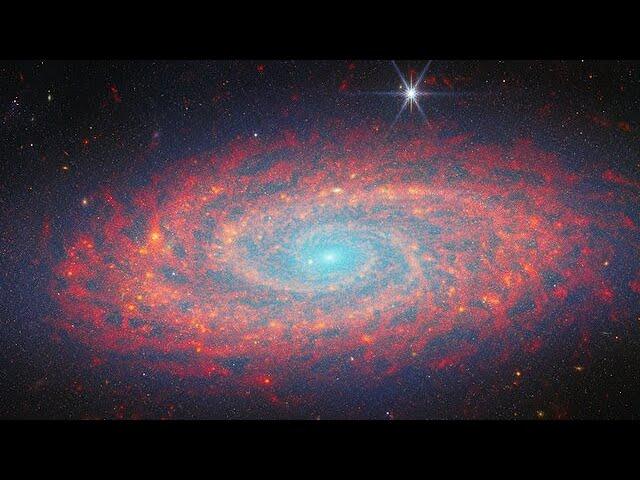 Pan Video: NGC 2090