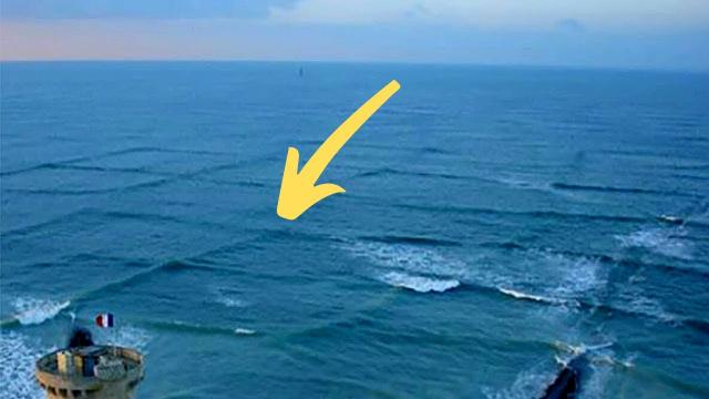 If You See Square Waves In The Ocean Get Out Of The Water Immediately
