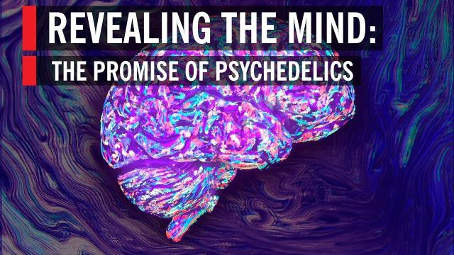 Revealing the Mind: The Promise of Psychedelics