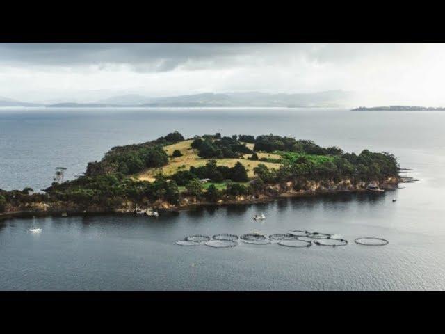 NASA Scientists Have Found Curious Signs Of Life On This New Island  But There’s A Catch