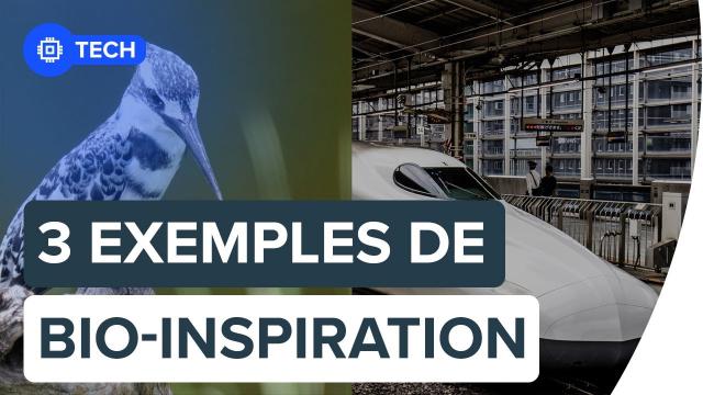 3 exemples de bio-inspiration | Futura