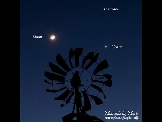 Comet c/2019 Y4 ATLAS & Venus & the Pleiades