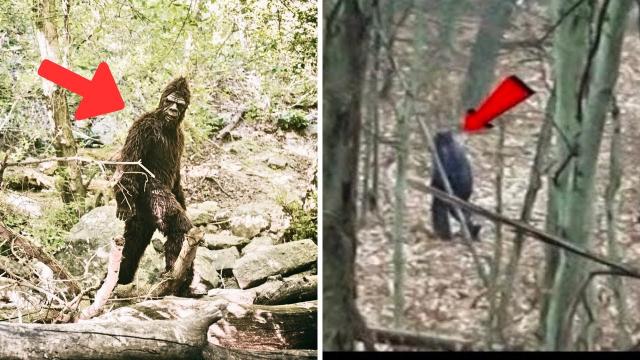 Skeptics Stunned by Creepy Video of Bigfoot in Mississippi woods - No One Believed This Live footage