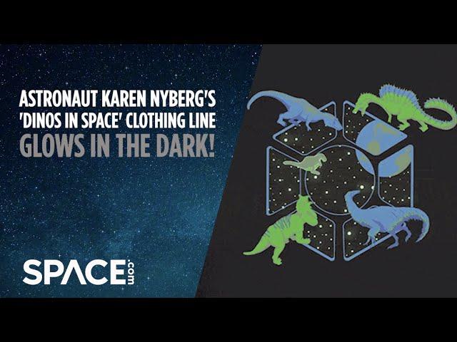 Astronaut Karen Nyberg's 'Dinos in Space' clothing line glows in the dark!