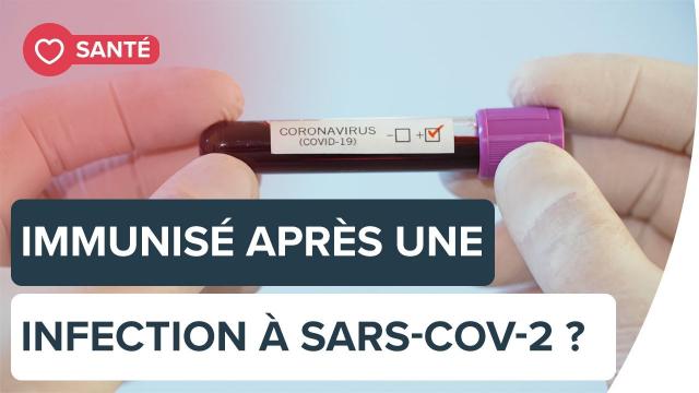 Sommes-nous protégés après une infection à SARS-CoV-2 ? | Futura