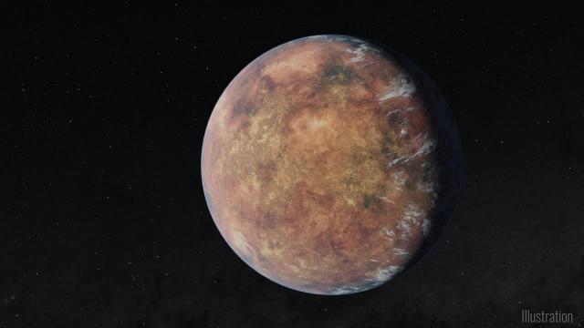 Earth-size planet found in TOI 700 system's habitable zone