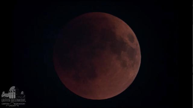 Super Flower Blood Moon turns red in total lunar eclipse time-lapse