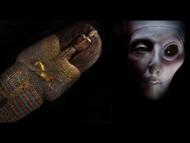 THE long lost mummy of an Egyptian Pharaoh ‘removed to hide TRUTH’