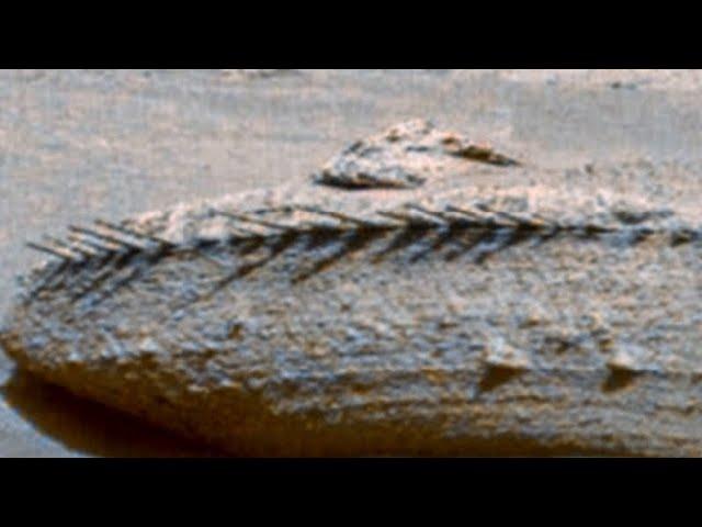 NASA’s Curiosity rover spots a strange bone like rock on Mars