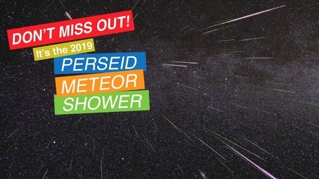 The 2019 Perseid Meteor Shower