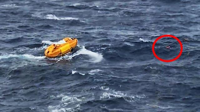 Passengers on This Disney Cruise Spotted Something in the Sea That Shocked Them