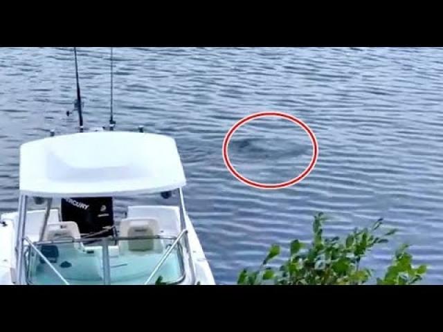 Water UFO Seen In New Hampshire Lake Baffles Eyewitness