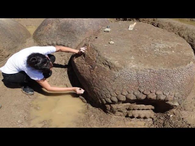 New Giant Archaeological Discovery