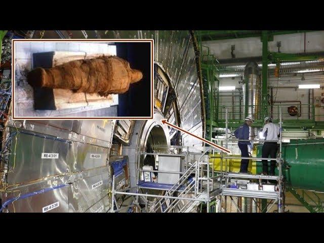 Why did scientists put a "MUMMY" in the center of the Large Hadron Collider?