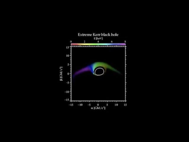 Black hole disk's light echoes simulated & sonified