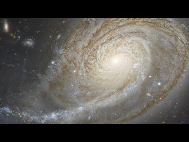 Galaxy NGC 772 has an 'over developed' spiral arm
