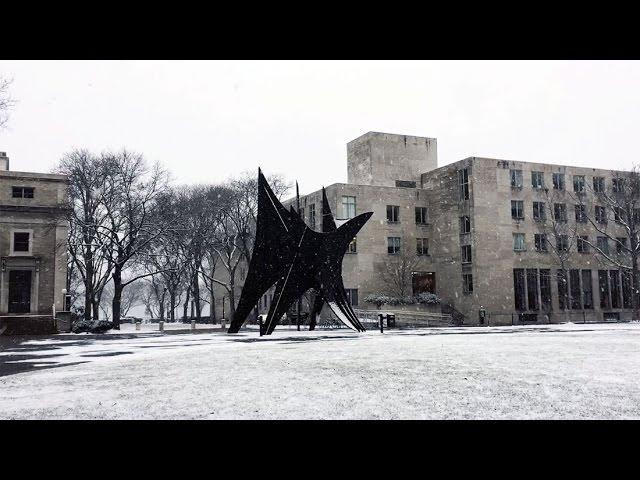 Snowy Campus