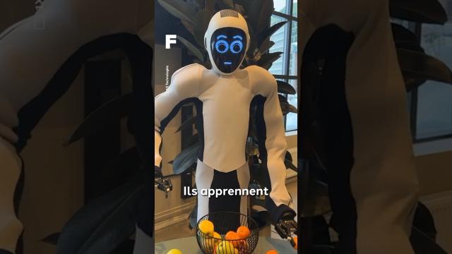 EVE : ce robot domestique va-t-il remplacer les humains ?!