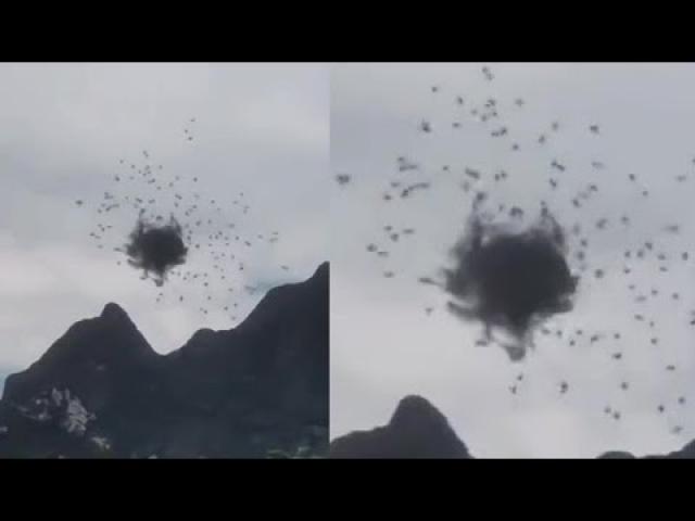 Mysterious and unusual movement of a flock of birds in China