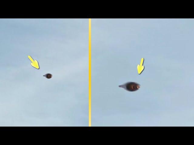 Incredible UFO sightings In Mexico 2023