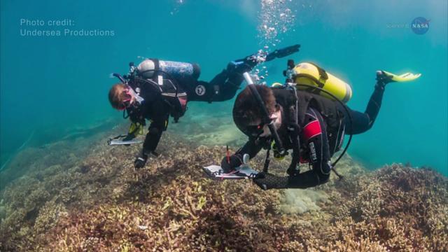 Coral Reefs Threatened By Climate Change, Studied From High Above | Video