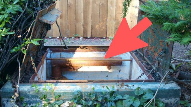 Wisconsin Family Opens Mysterious Hatch In yard, Finds Hidden Marvel