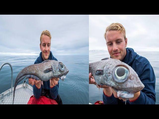 Dinosaur Like Fish With Bulging Eyes Caught In Norway