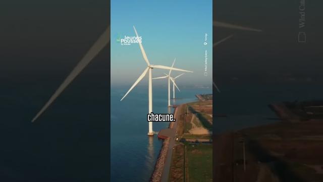 Un mur de mini éolienne en mer avec un rendement 2,5 fois plus important !