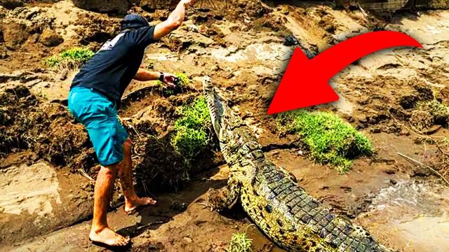 Crocodile Asks Fisherman For Help – He Starts Crying When He Finds Out Why!