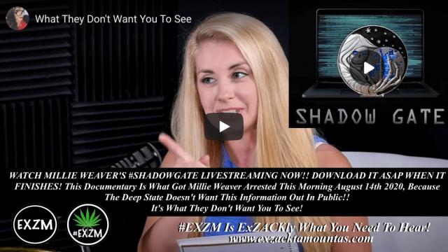 The Shadow-Information War - Millie Weaver & CIA Social Engineering Firms