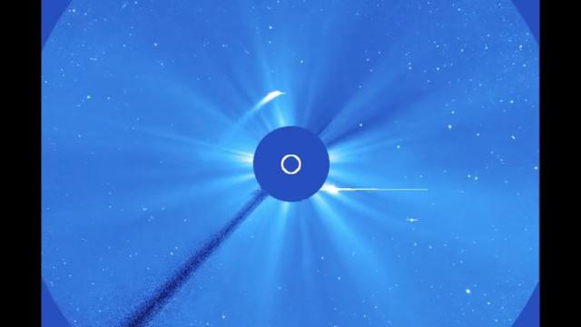 Comet 96P/Macholz's Sun Flyby in 2002 was a Doozy
