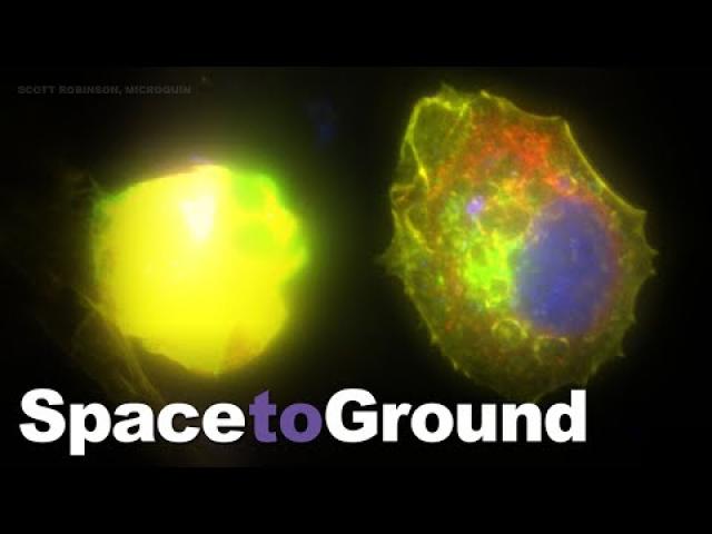 Space to Ground: Targeting Cancer Cells: 02/18/2022