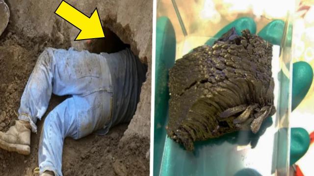 Farmer Discovers Something Strange Beneath His Field. Calls Police After Realizing What It Really Is